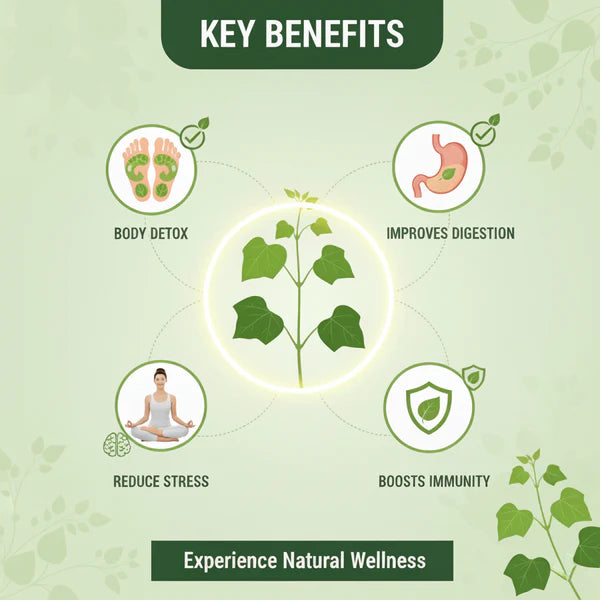 Herbal Giloy Foot Patches 🌿✨ (Buy 1 Get 1 Free🔥🔥) Dropdash