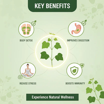 Herbal Giloy Foot Patches 🌿✨ (Buy 1 Get 1 Free🔥🔥) Dropdash